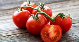 tomate al natural